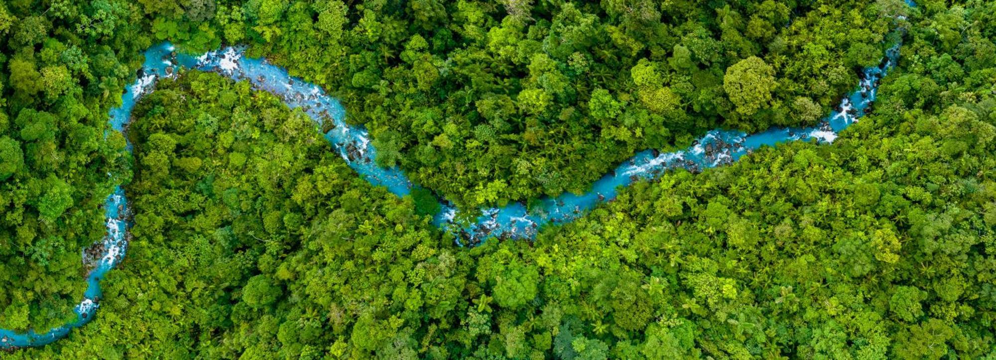 Hideaway Rio Celeste Hotel Bujagua Buitenkant foto