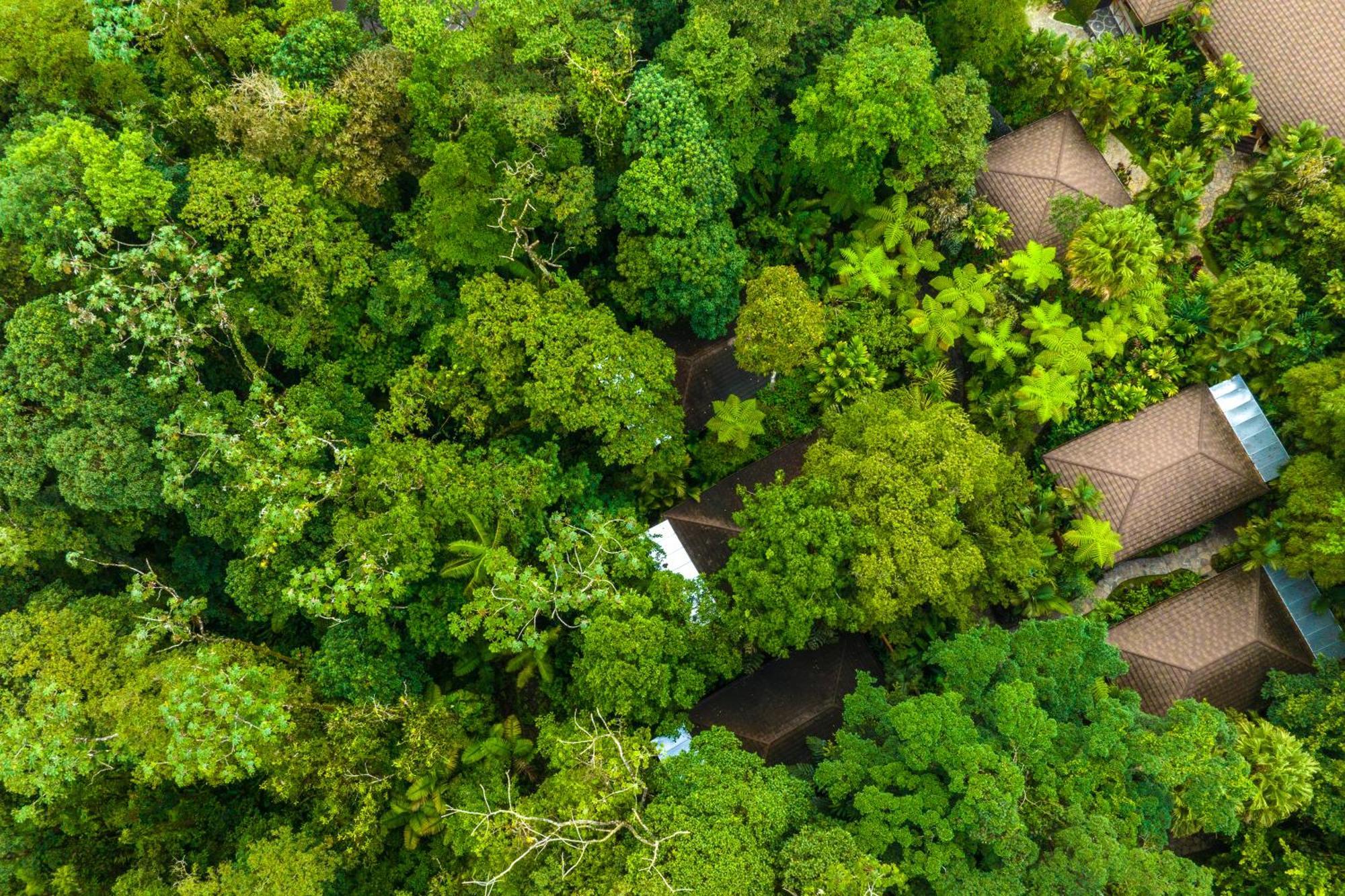 Hideaway Rio Celeste Hotel Bujagua Buitenkant foto