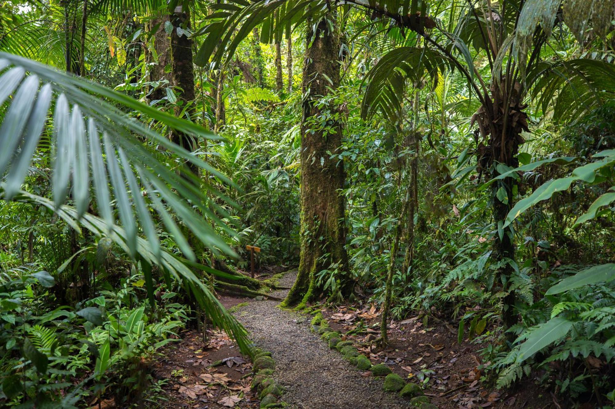 Hideaway Rio Celeste Hotel Bujagua Buitenkant foto